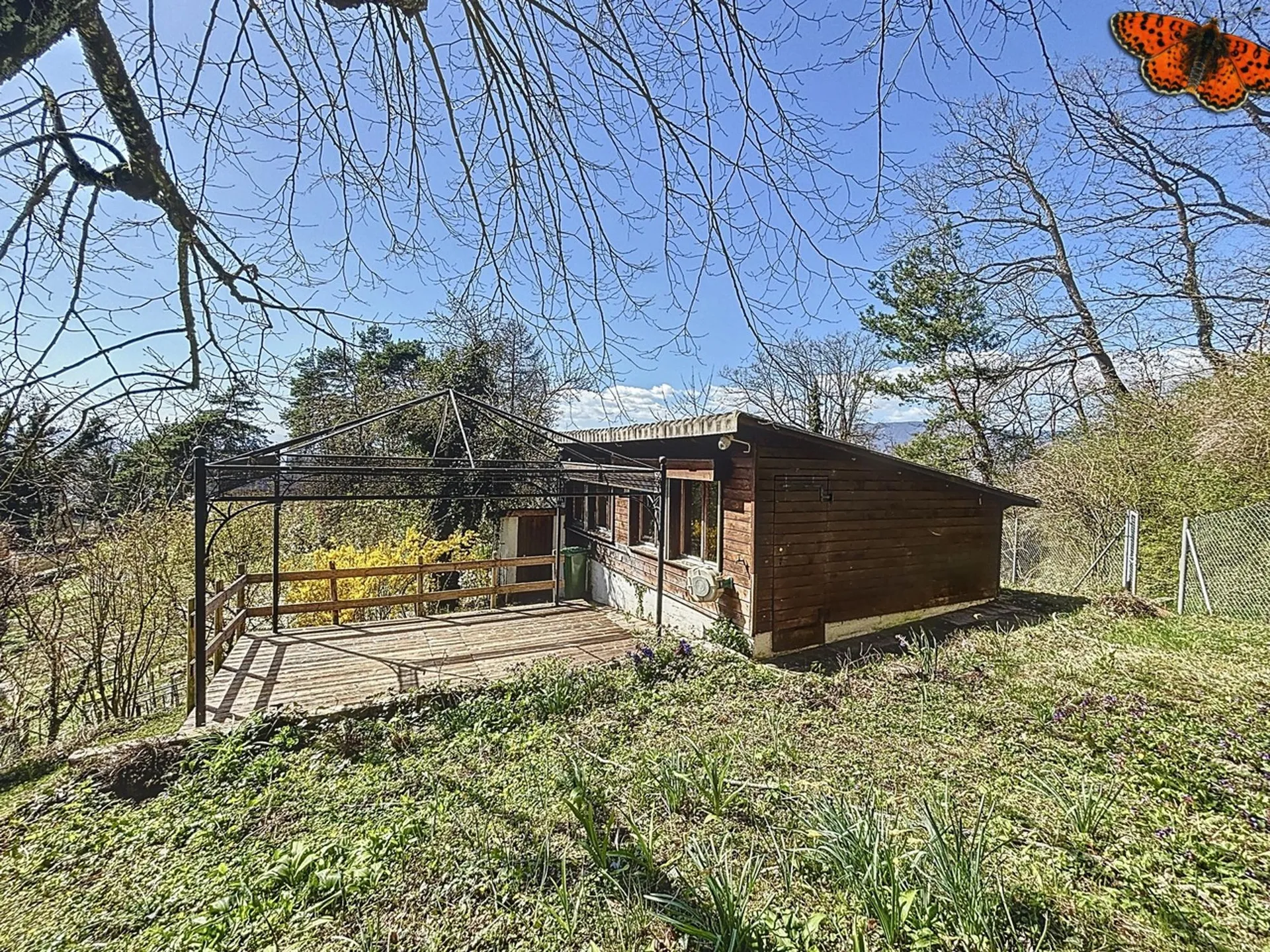 Image 13