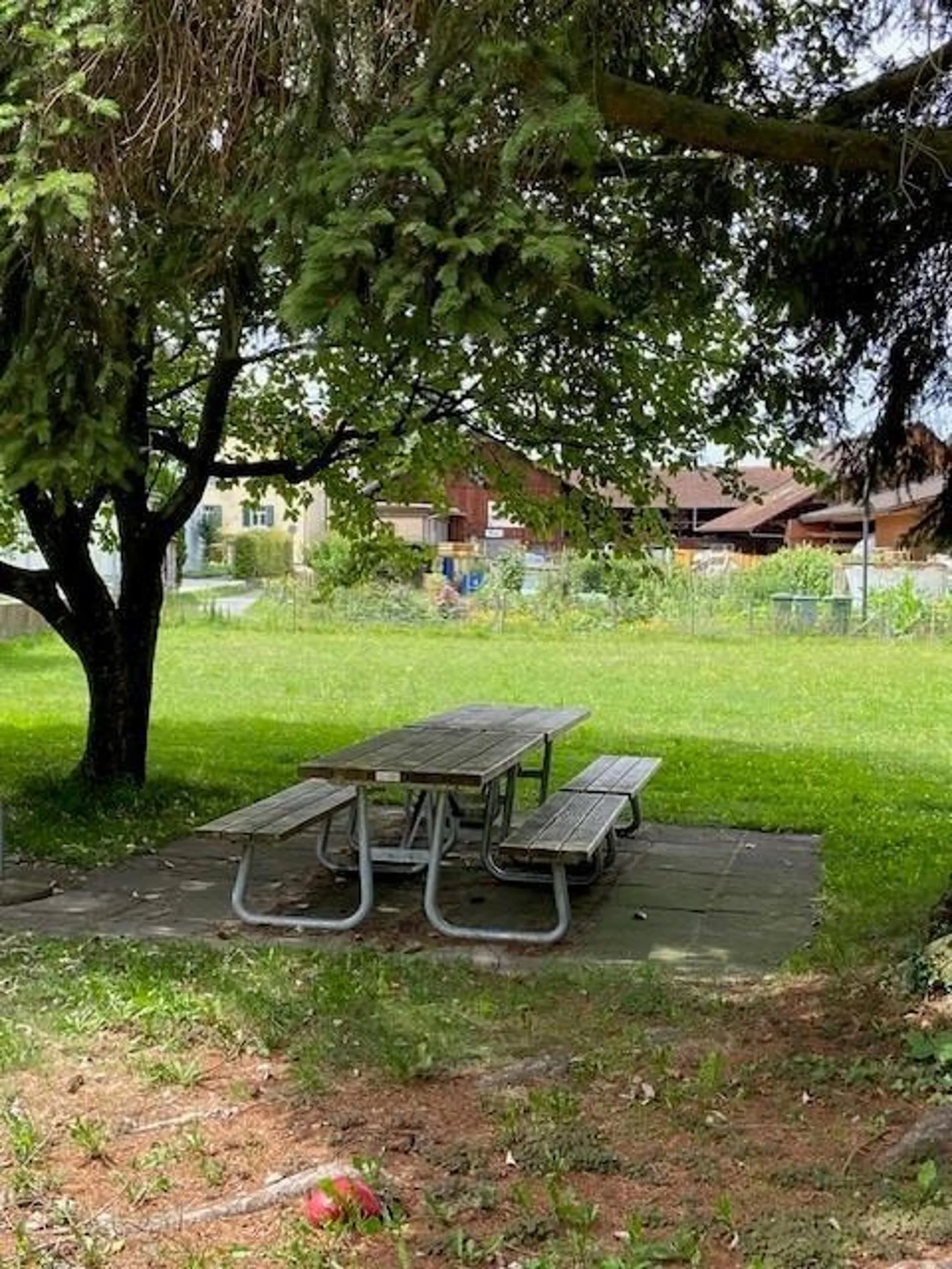 Bild 7