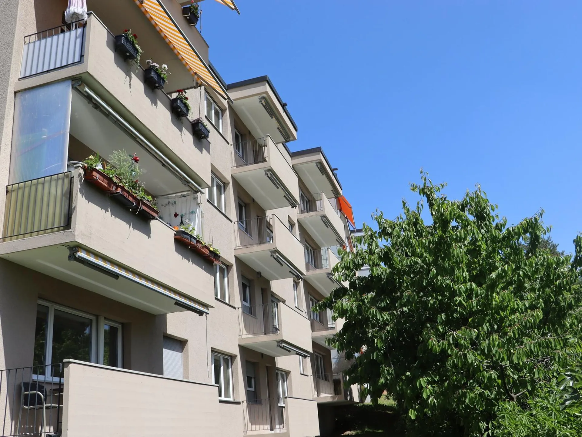 Mehrfamilienhaus in Steckborn – 12 Wohnungen, vollständig renoviert mit attraktiver Rendite