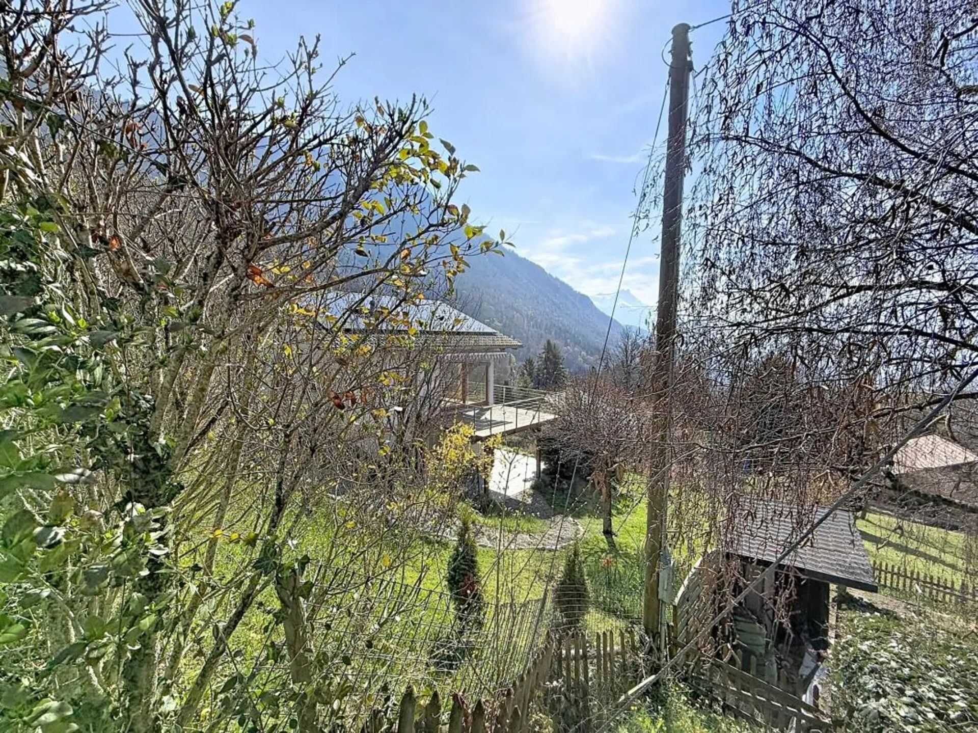 Image 23