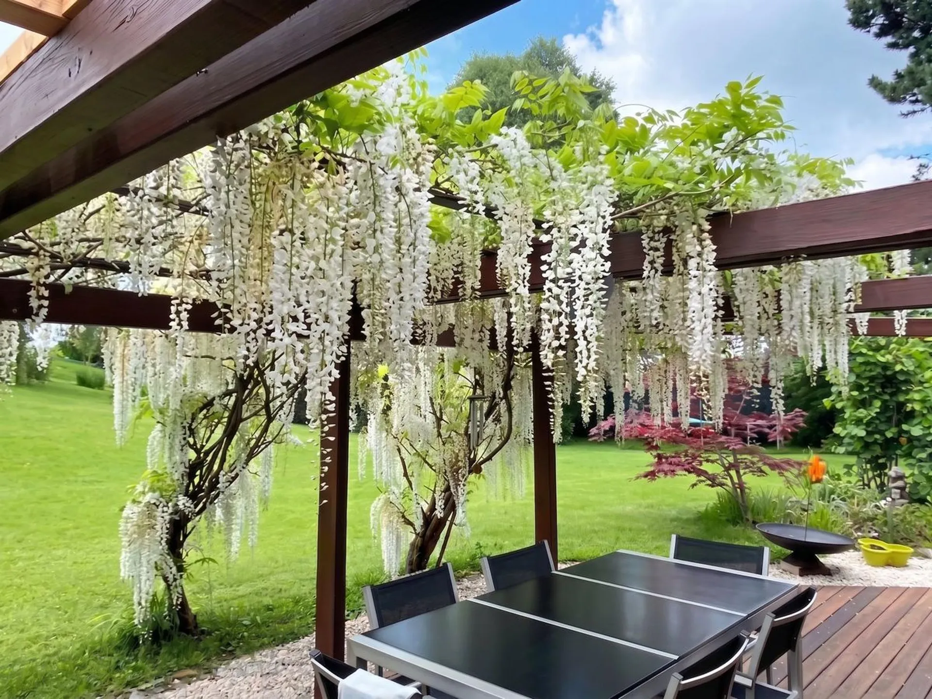 Bild 16