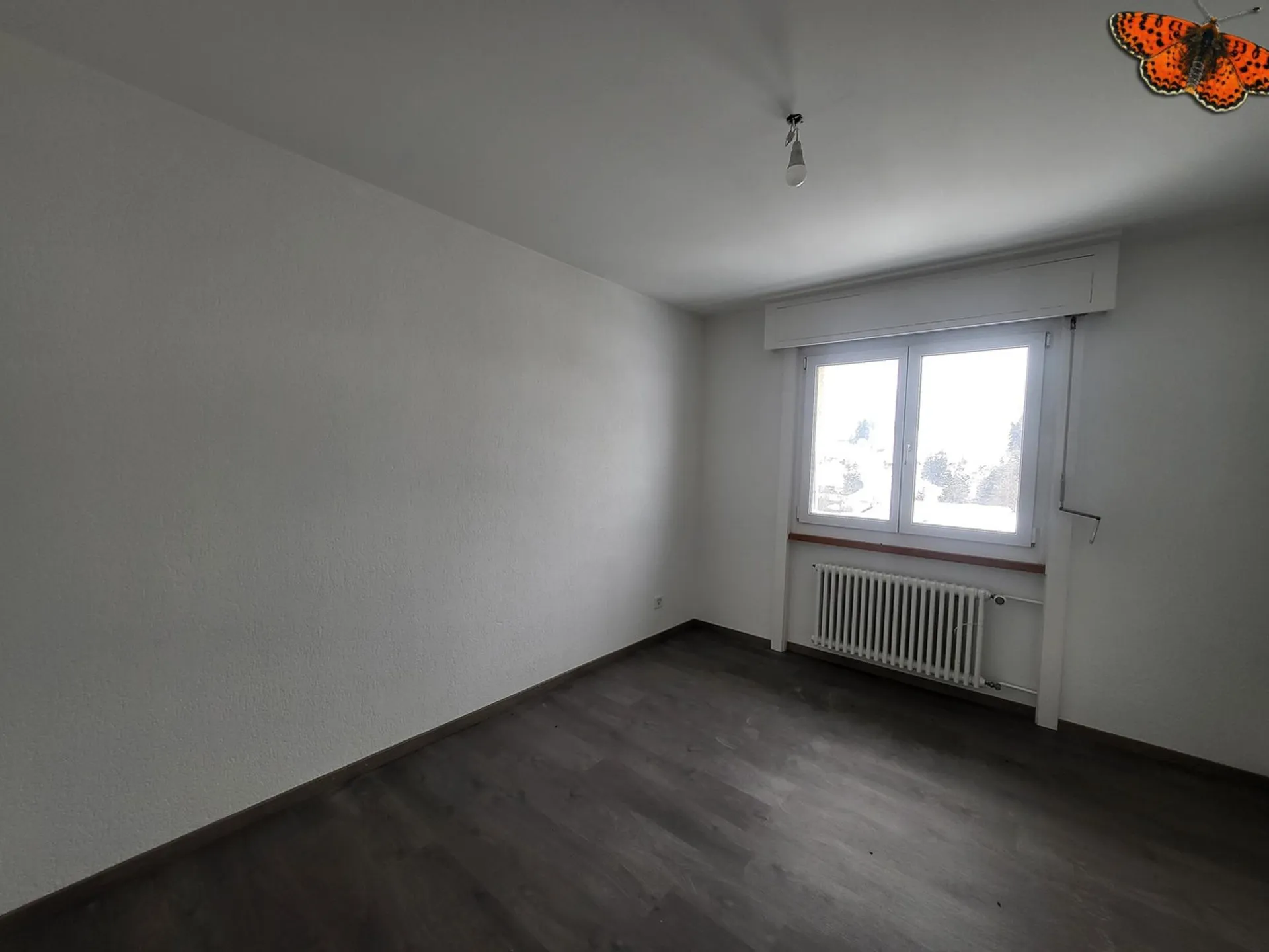 Bild 14