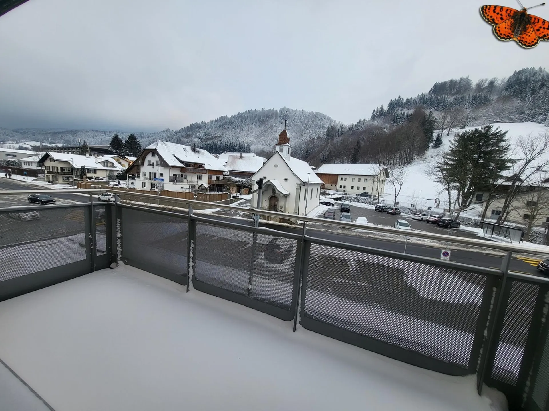 Bild 15