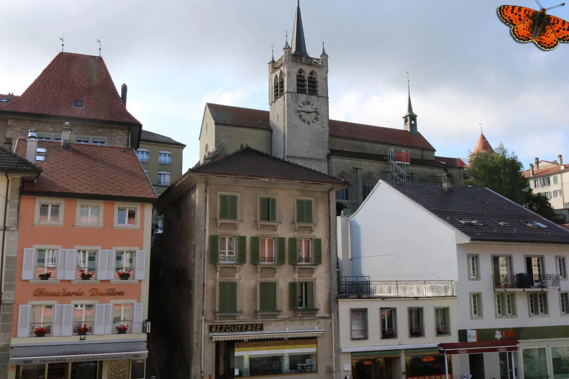 Image 7