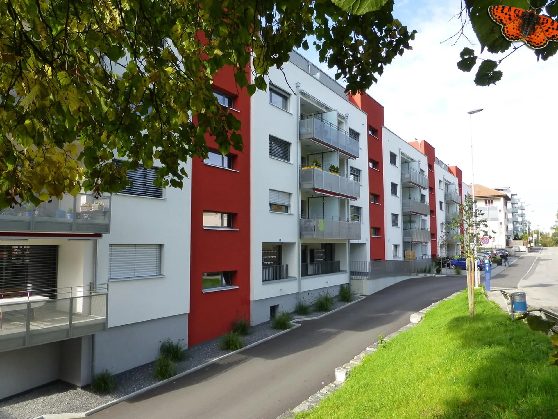 Bild 8
