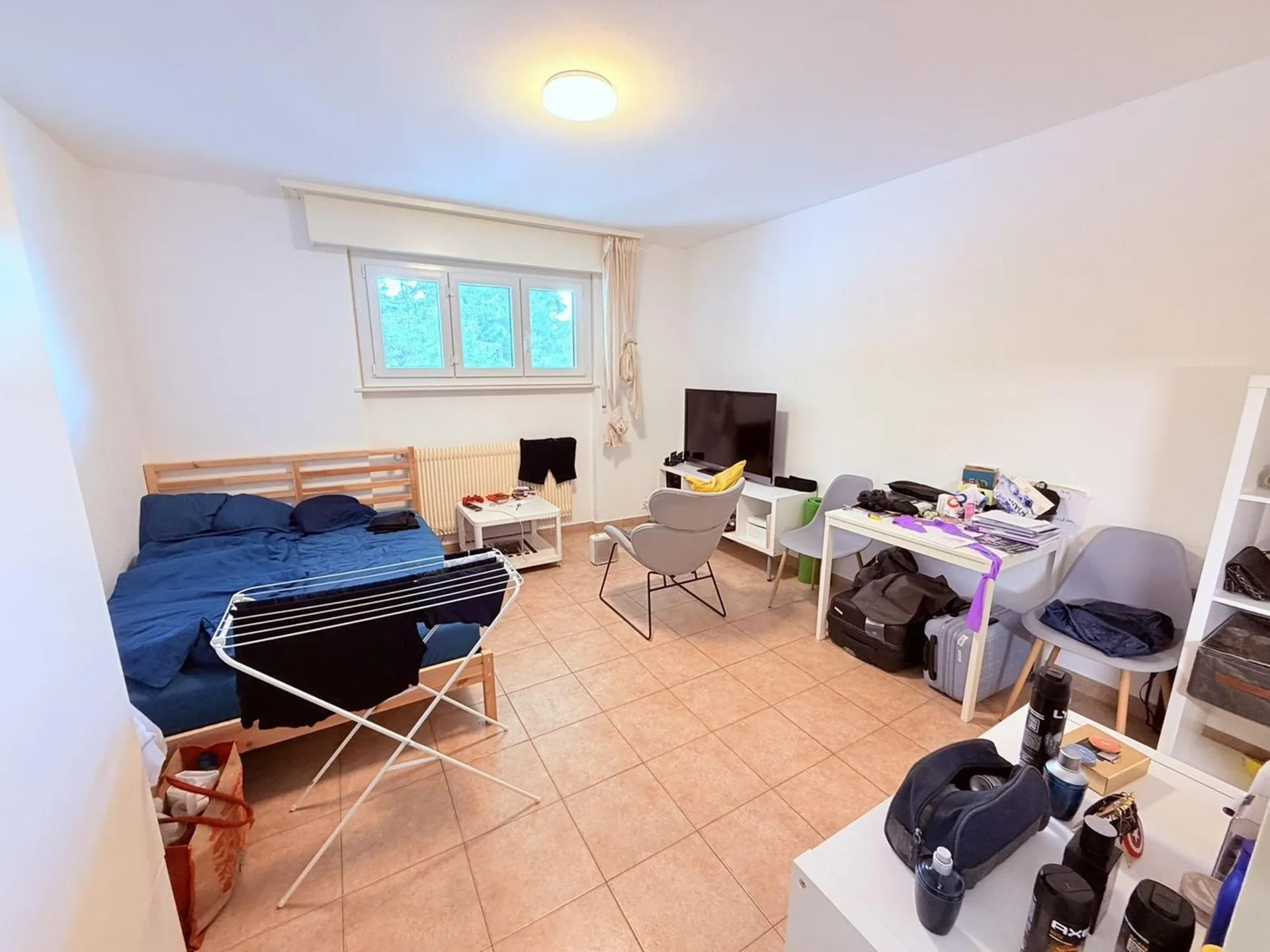 Studio cosy rénové (cuisine, salle de douche, sol ...) - Spacieux - Idéalement situé - Lieu calme