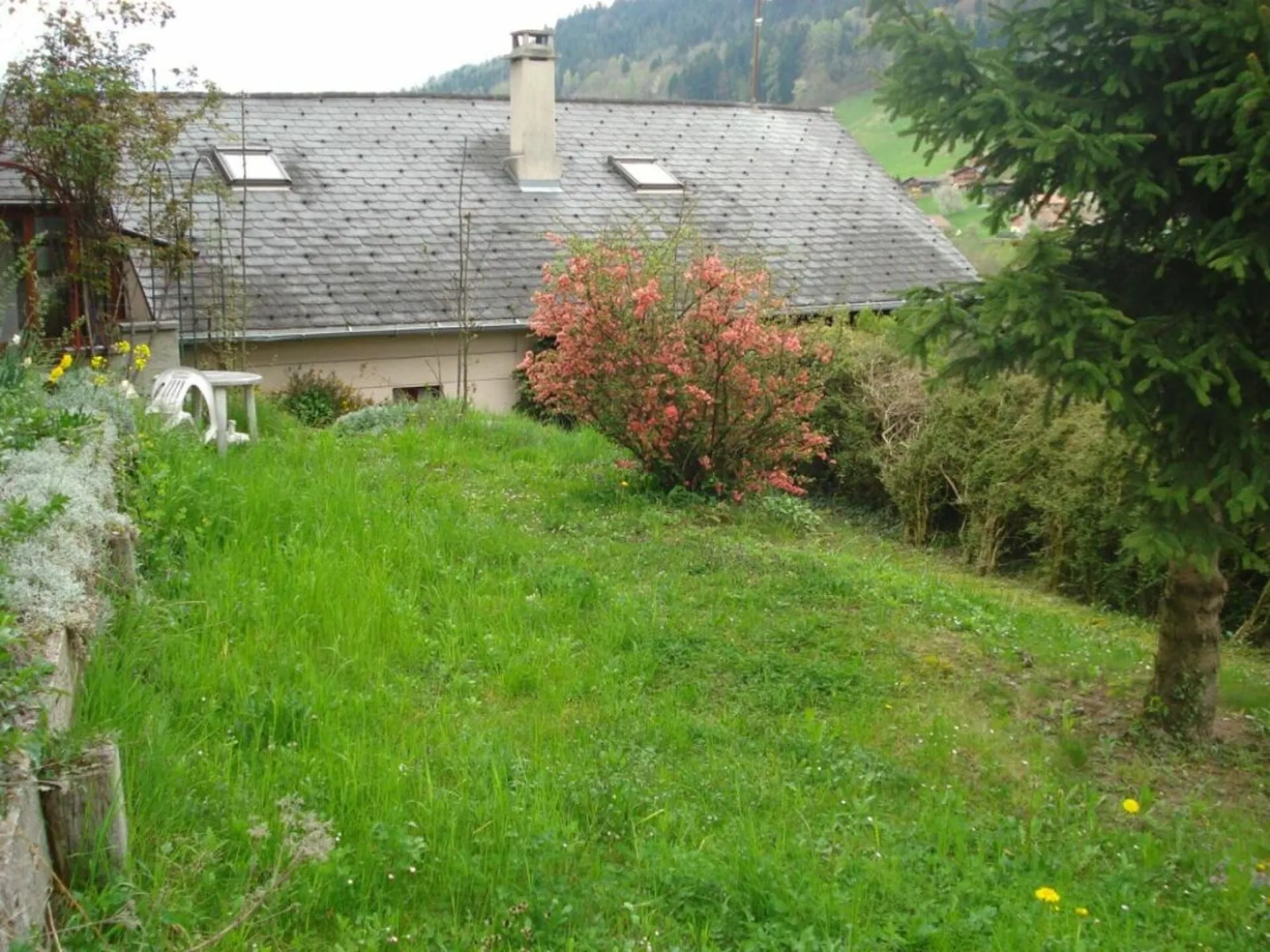 Image 14