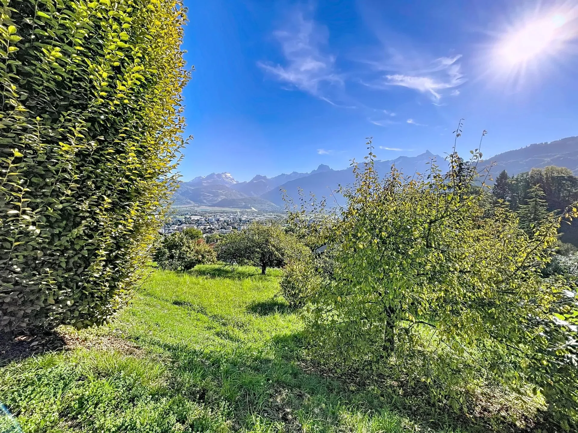 Bild 12