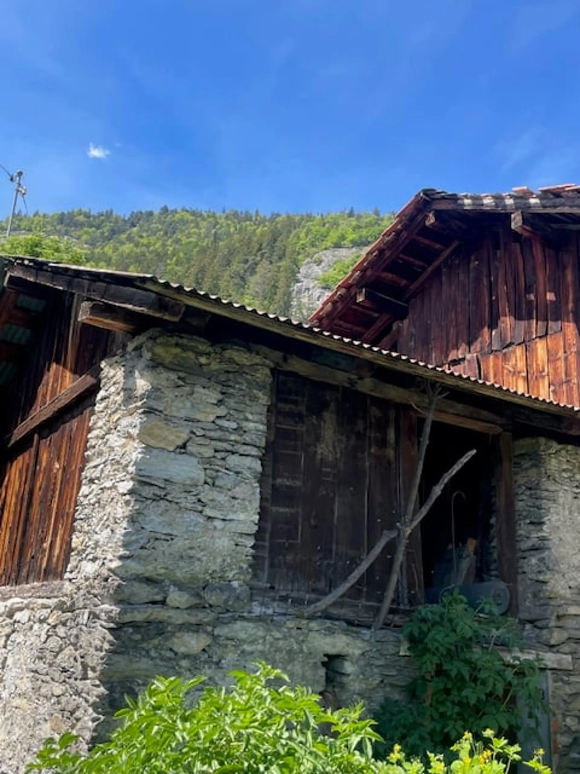 Image 11