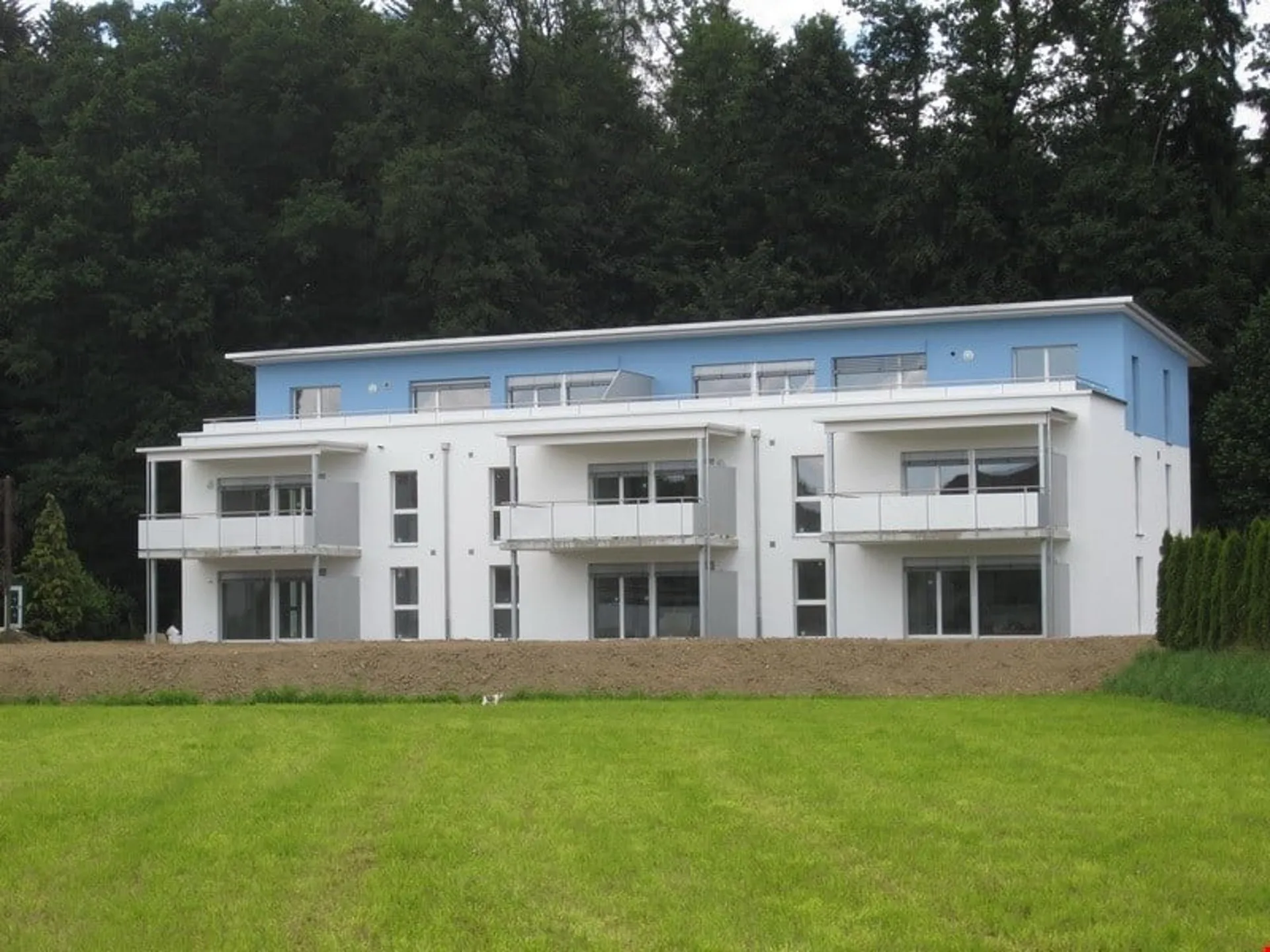 4 1/2 Zimmerwohnung im 1. Obergeschoss links