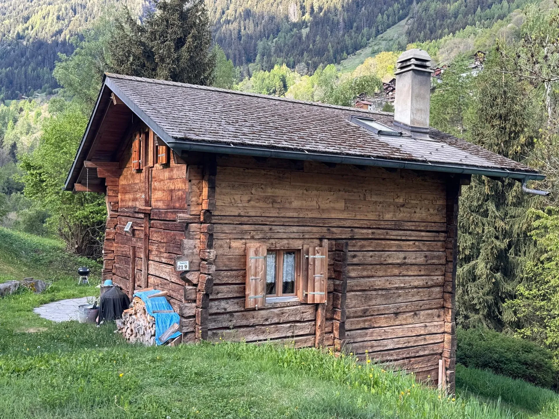 Image 5