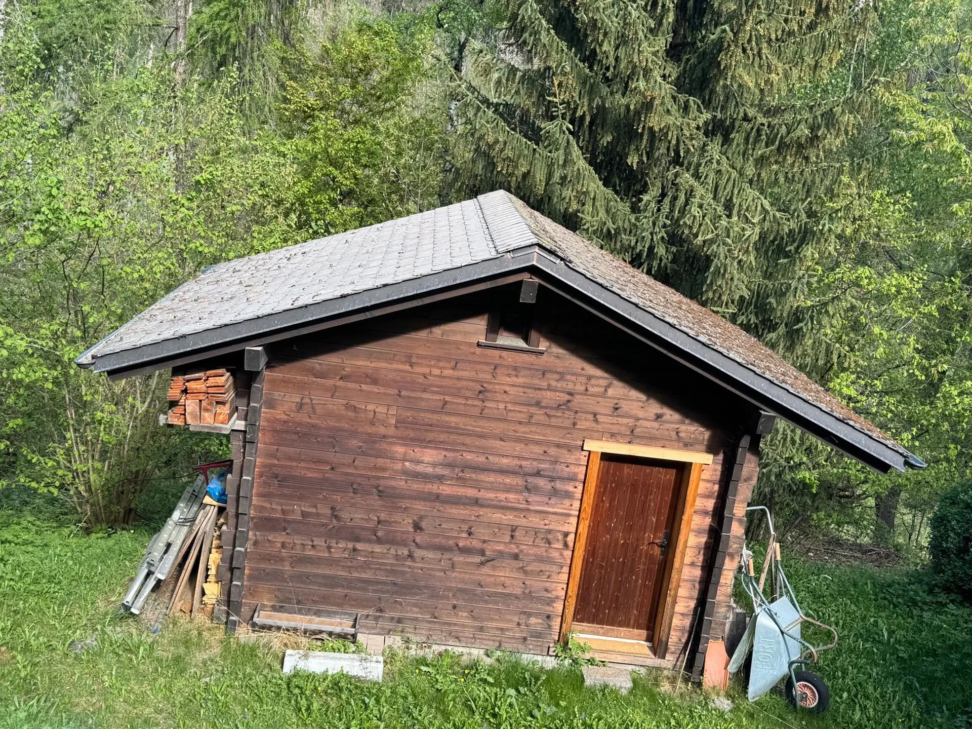 Image 6
