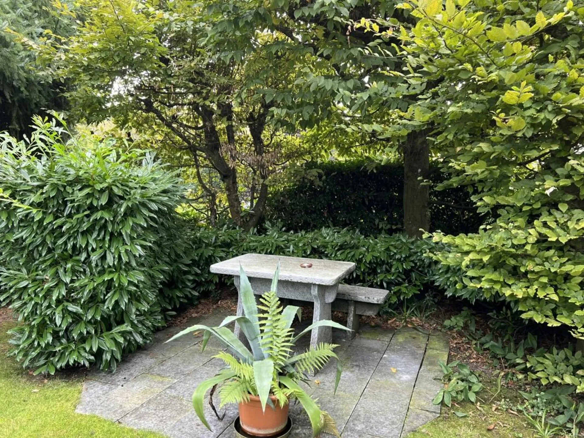 Image 18