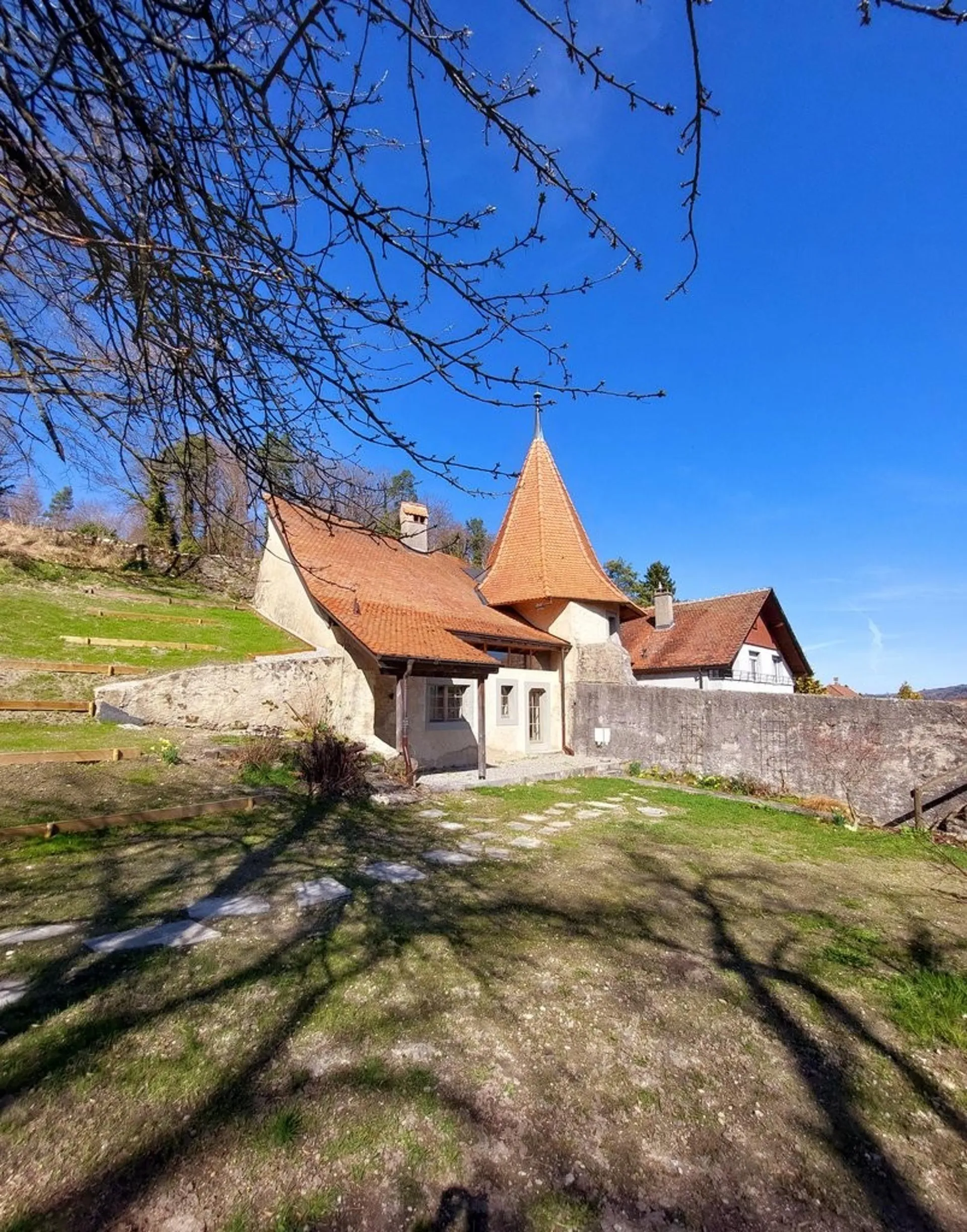 Image 8