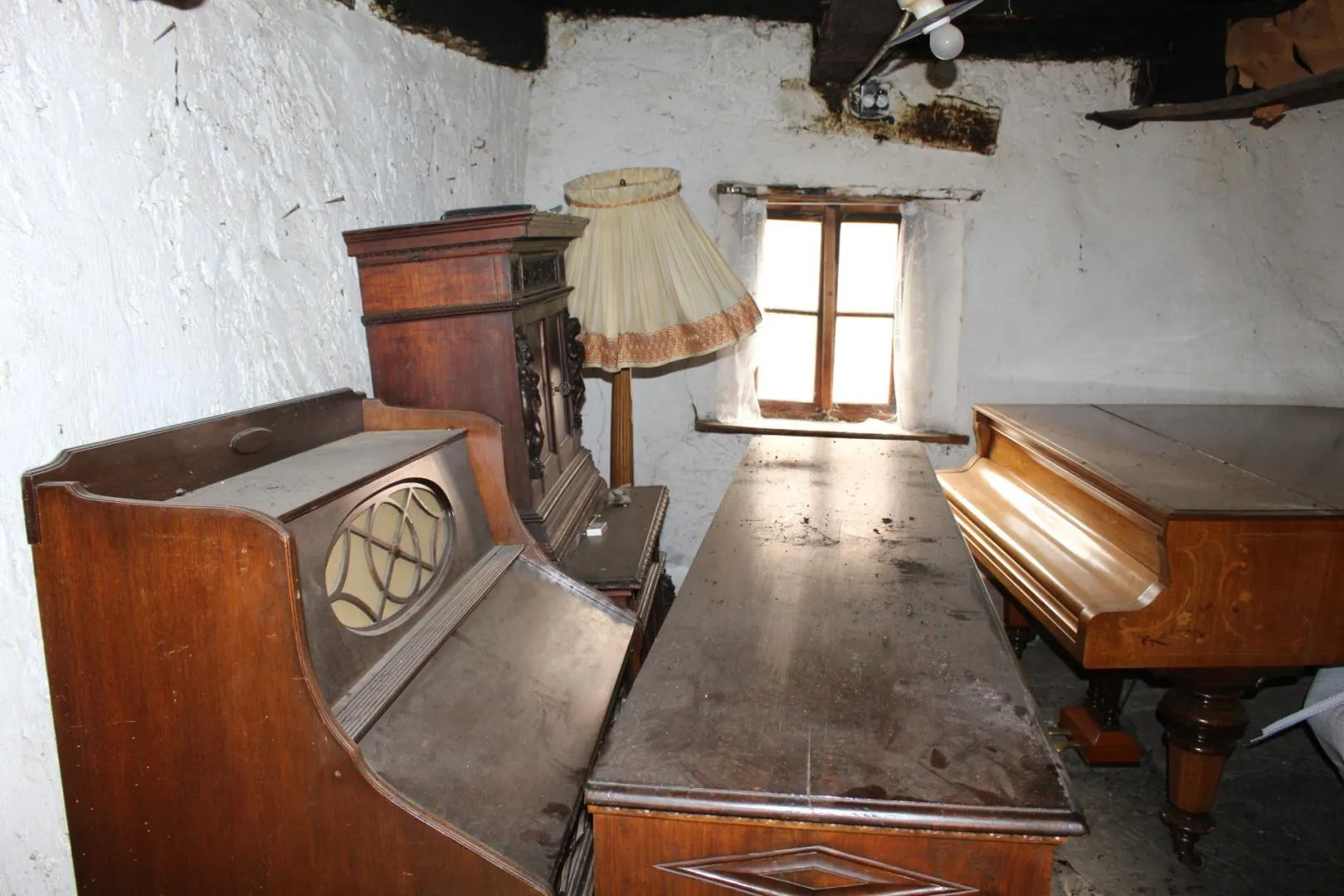 Image 7
