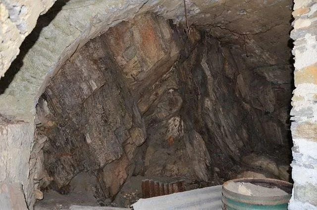Image 13
