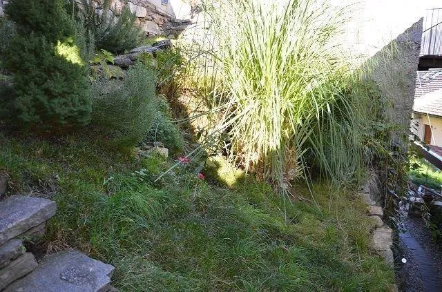 Image 15
