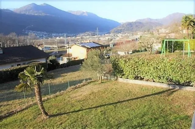 Immagine 3