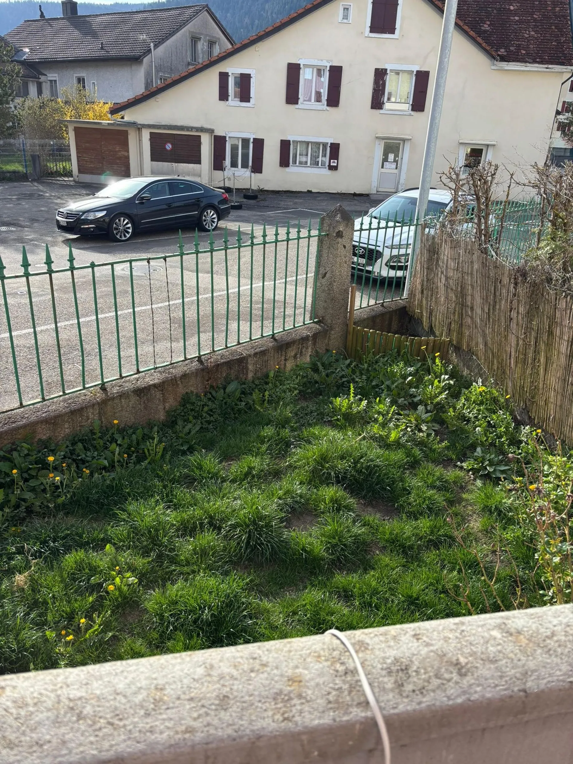 Image 13