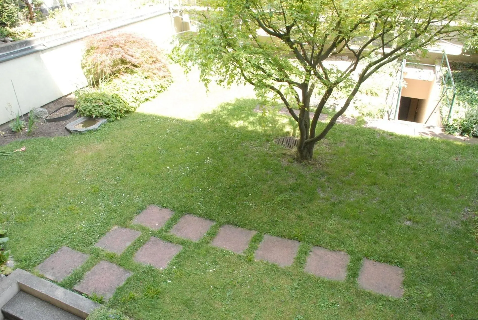 Image 12