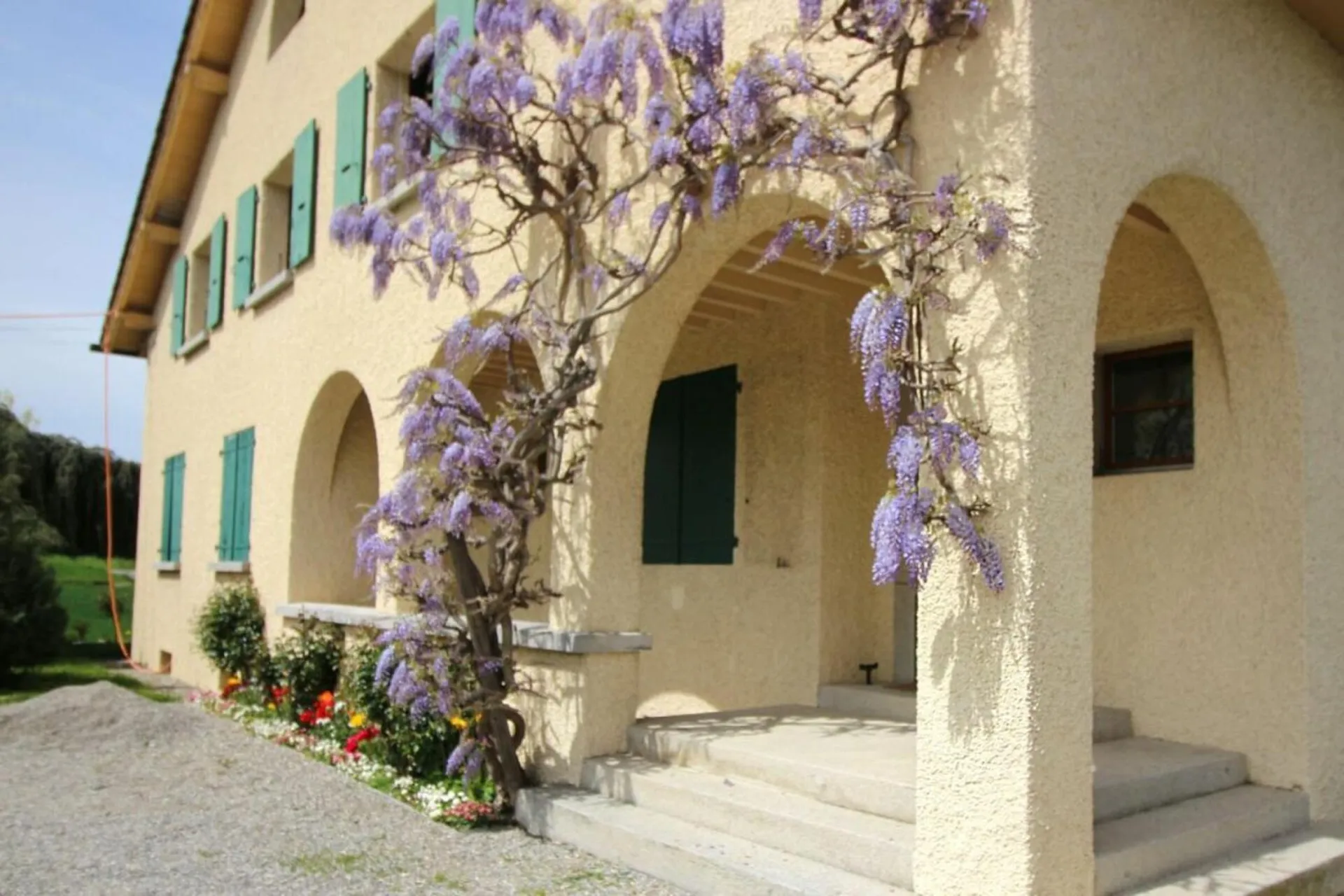 Appartement 5 pièces à Plan-les-Ouates