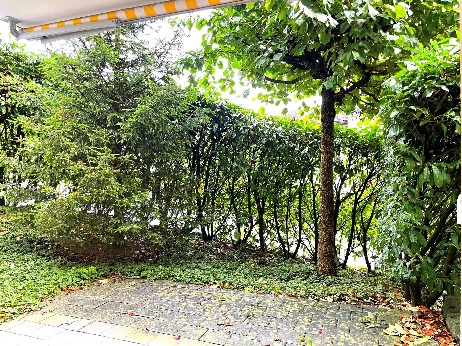 Bild 10