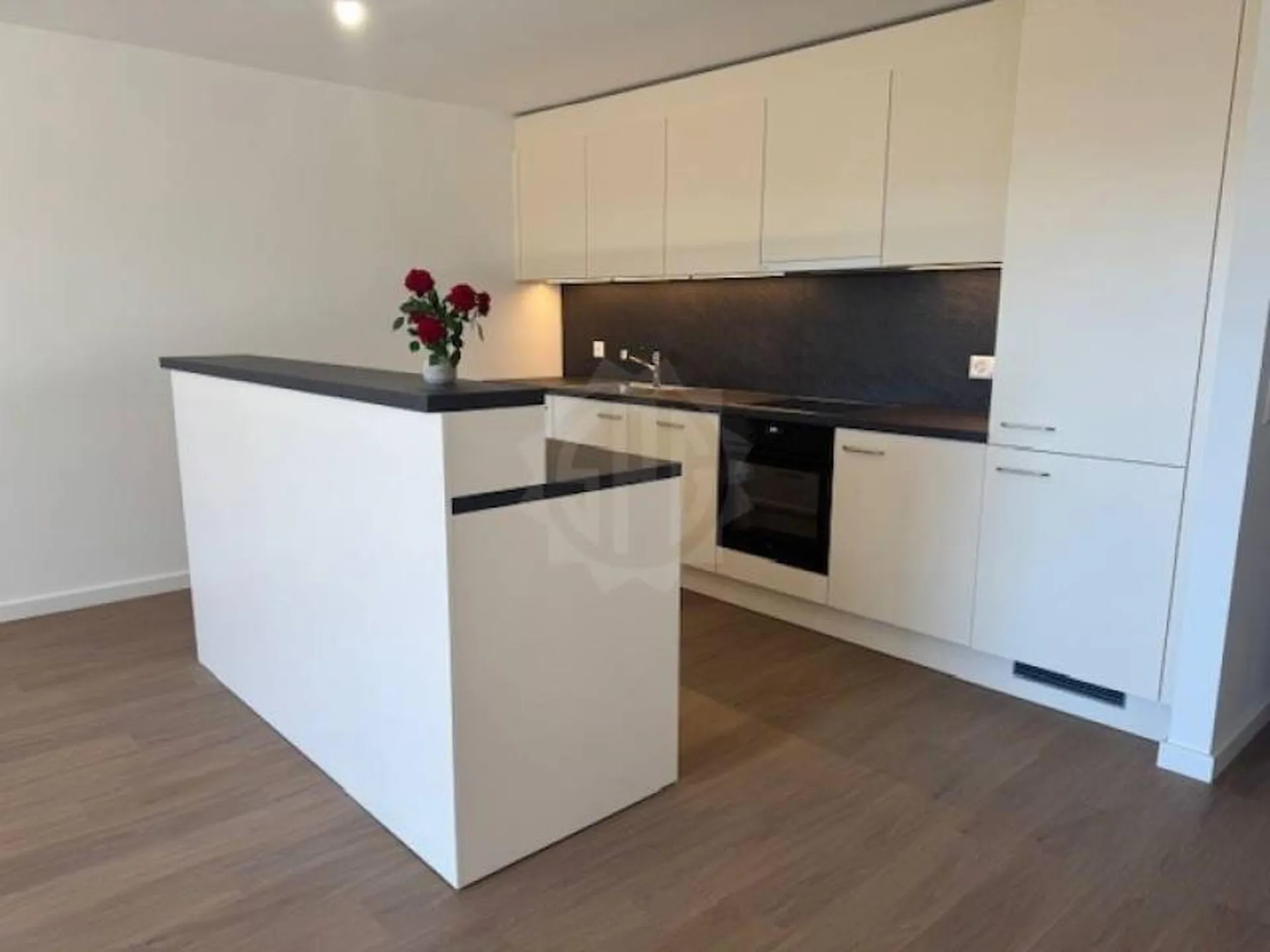 Superbe appartement - NYON