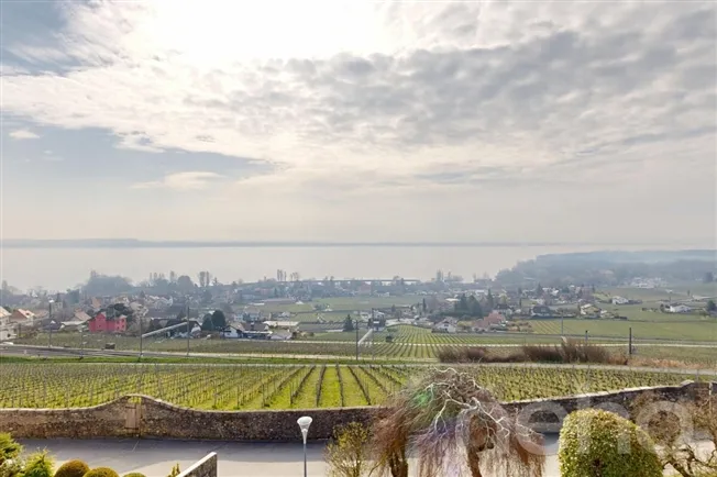 Wunderschöne Villa mit Seeblick