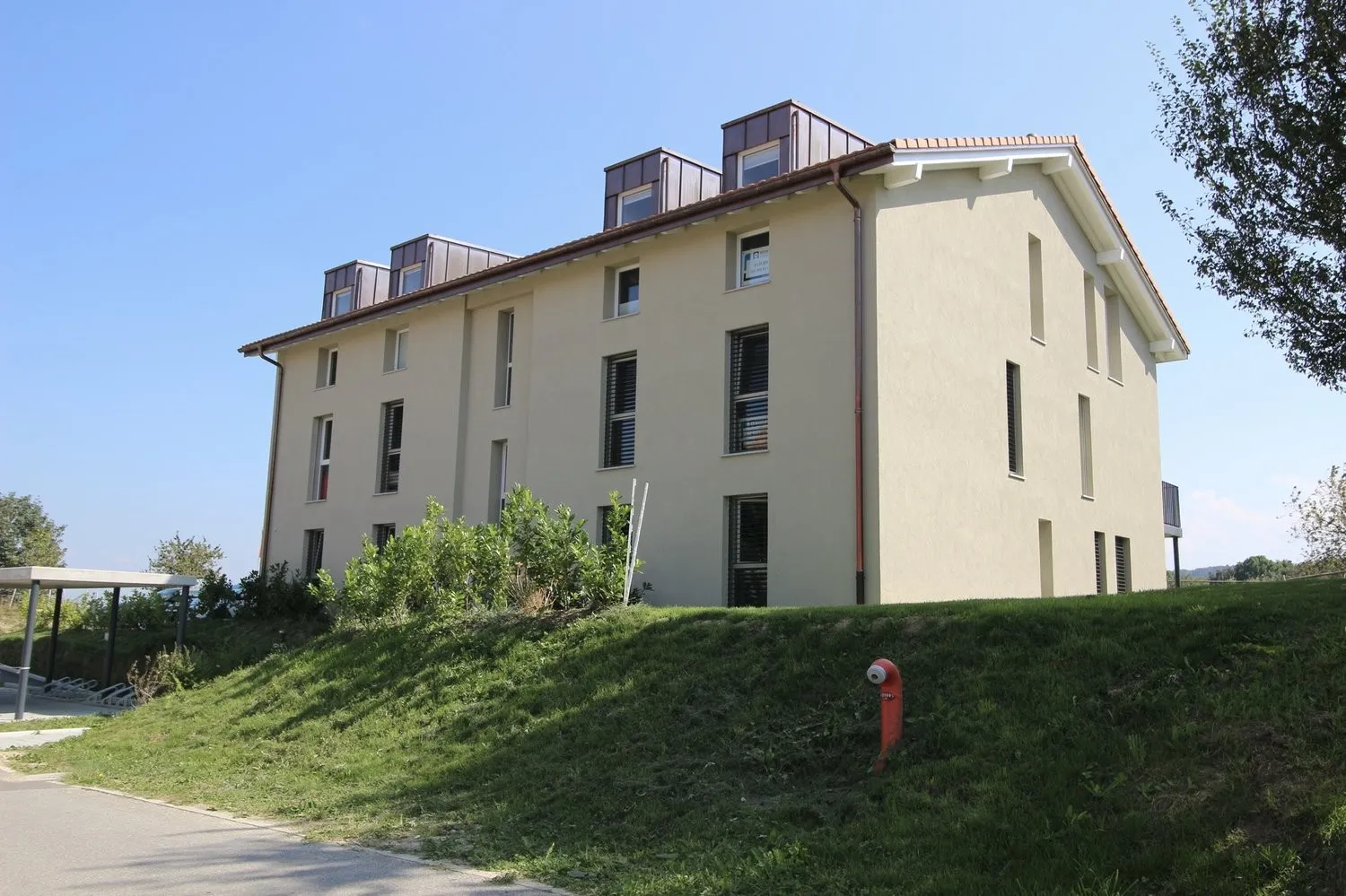Image 8