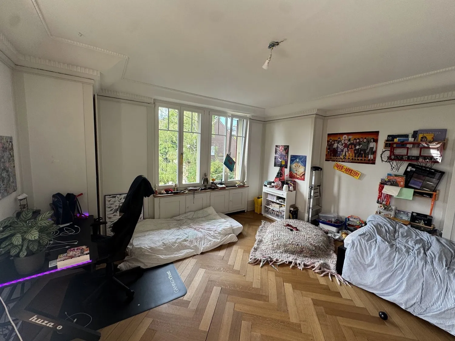 Image 12