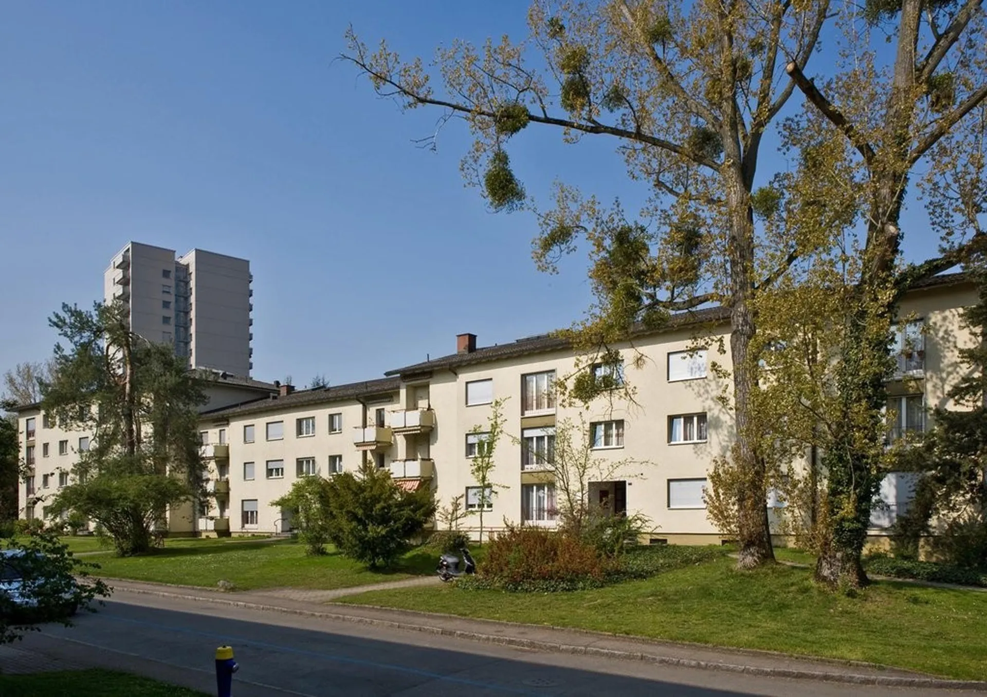 Ruhige Wohnlage im beliebten Birsfelden