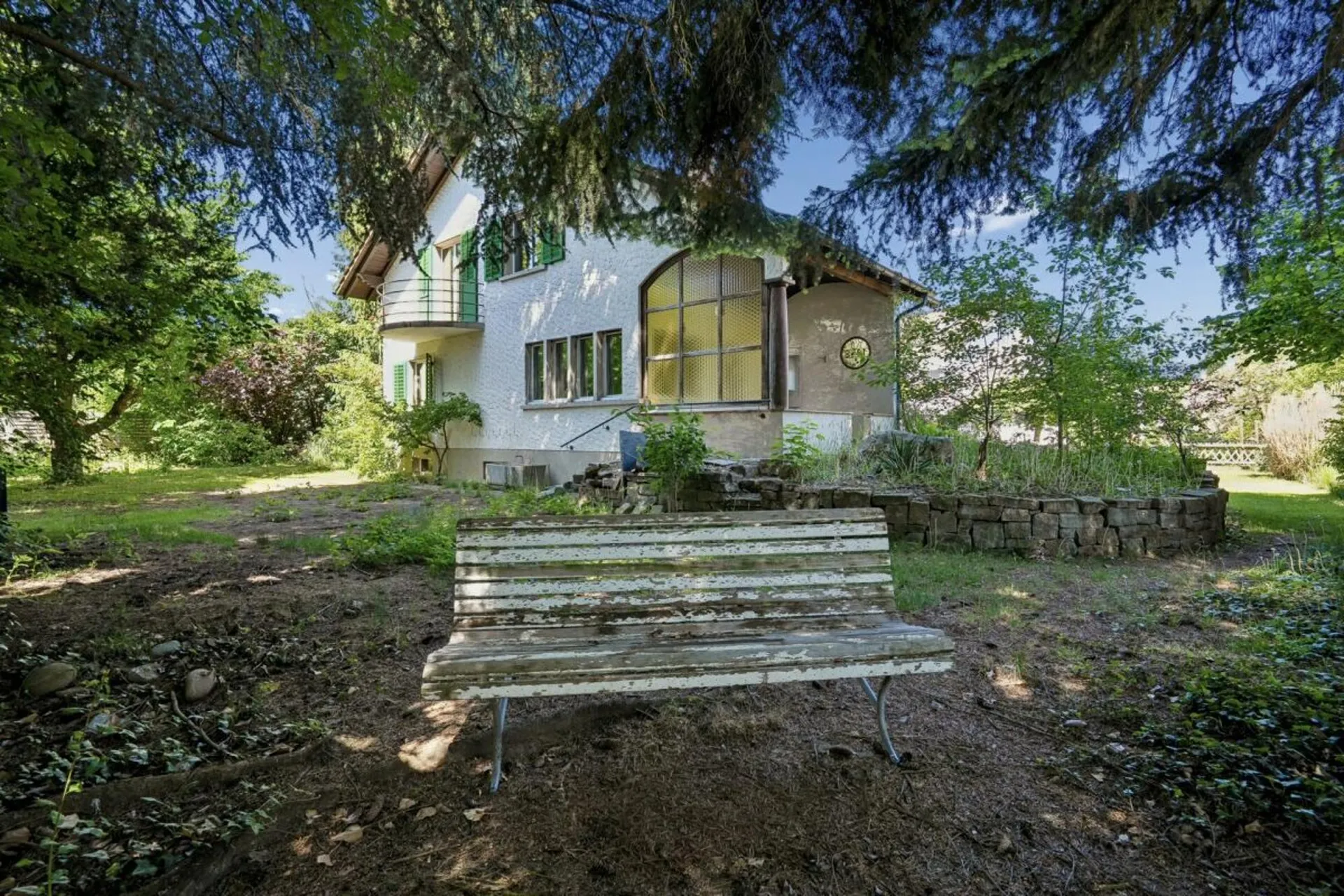 Image 12