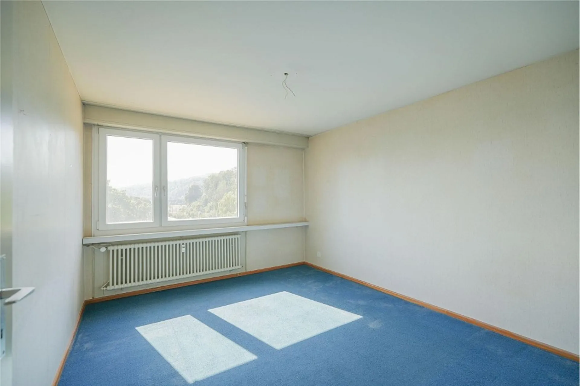 Bild 19