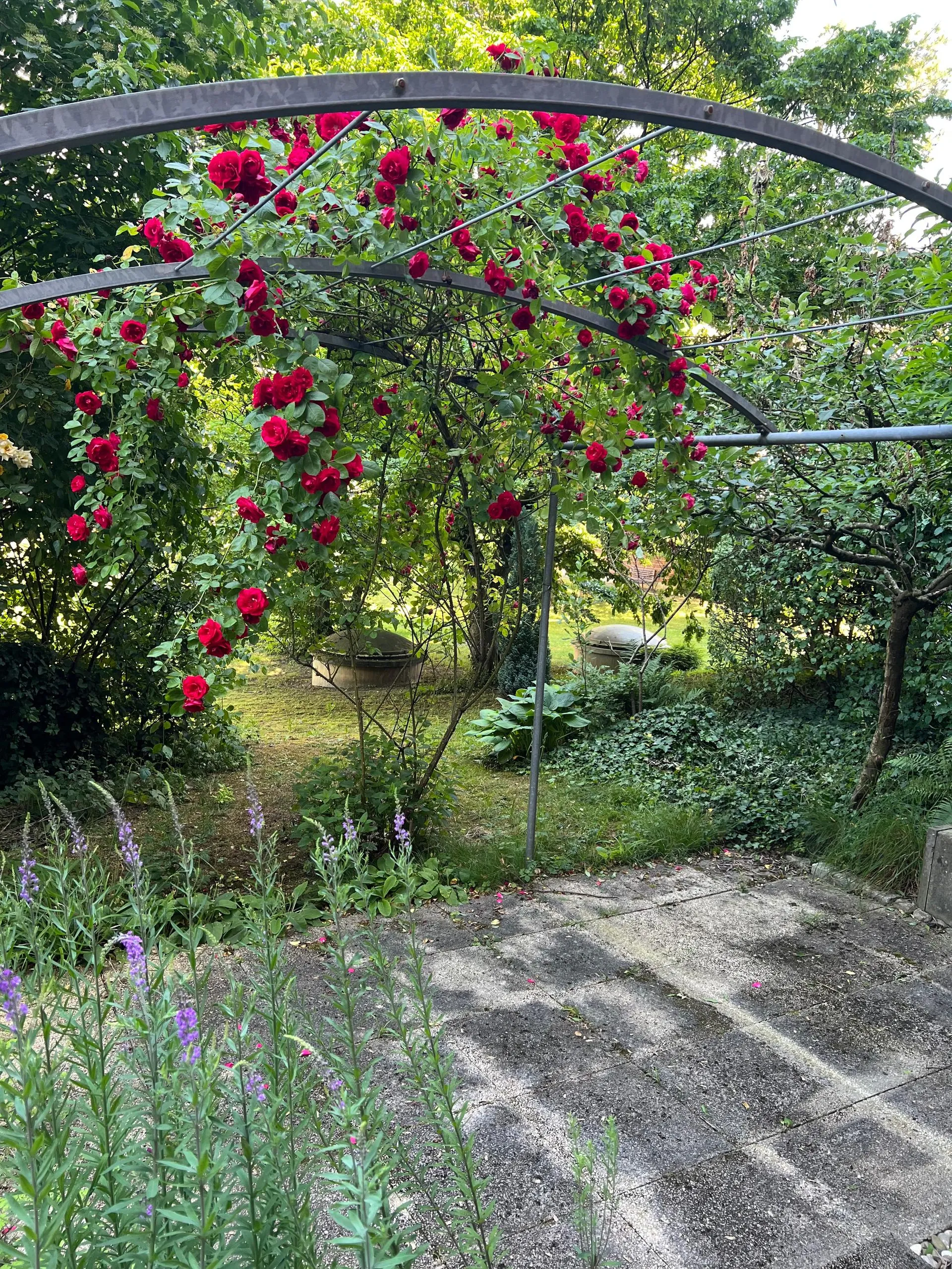 Image 8