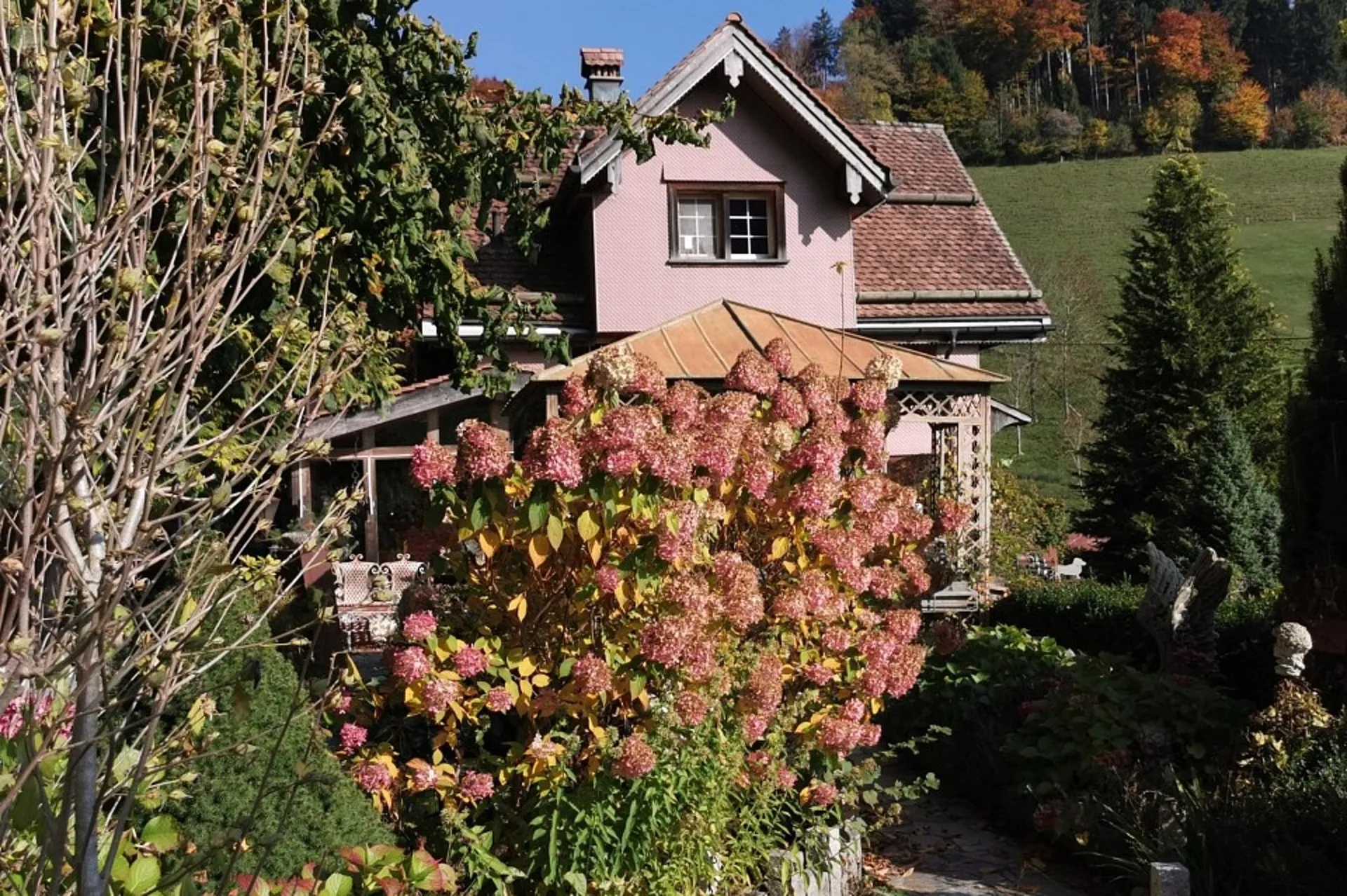 Image 6