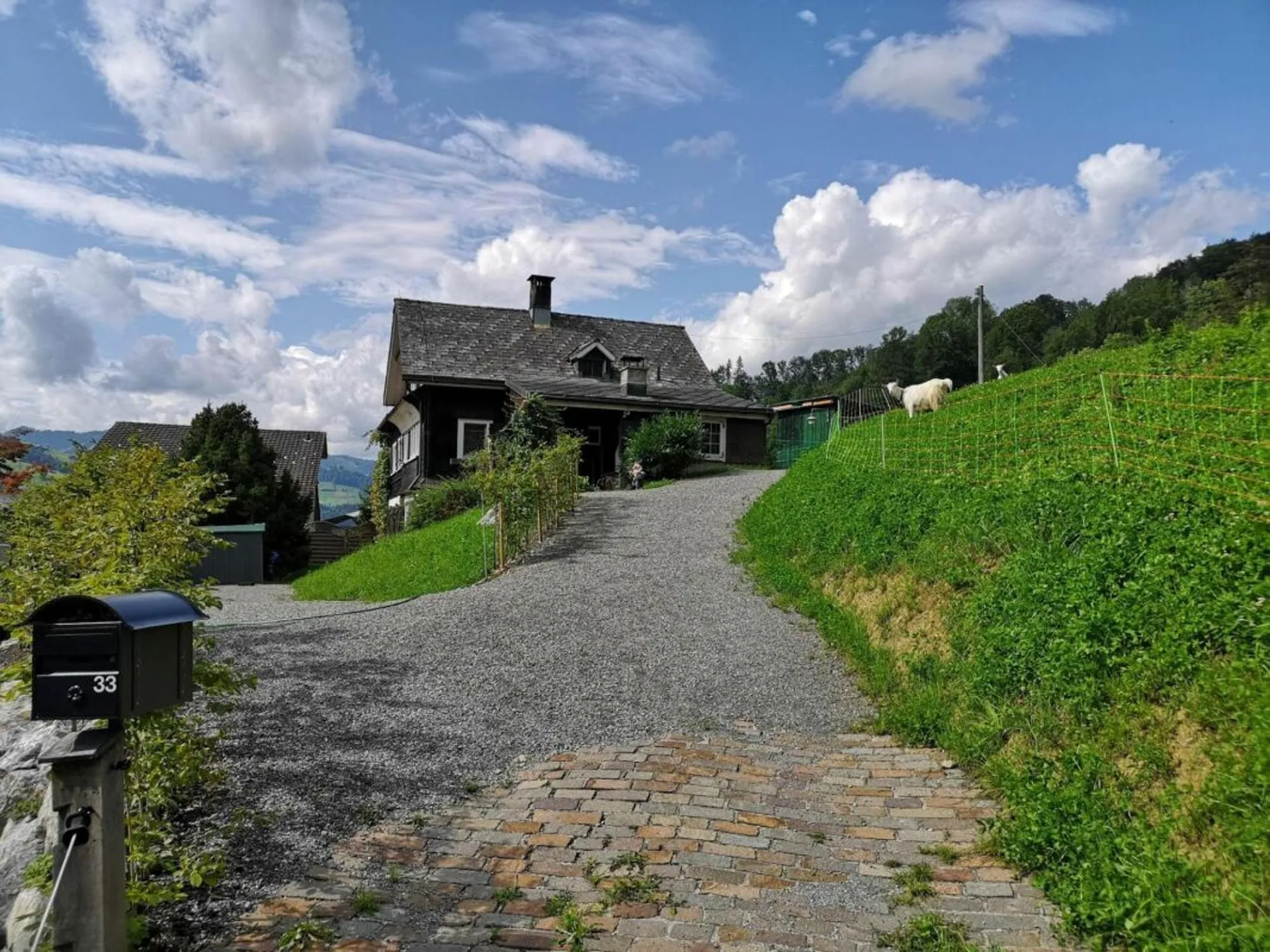 Bild 5