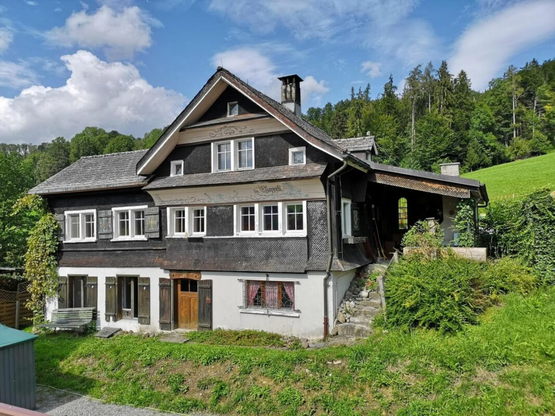 Renovationsbedürftiges 4-Zi.-Toggenburgerhaus mit Mehrzweckraum und zwei separaten Wieslandparzellen