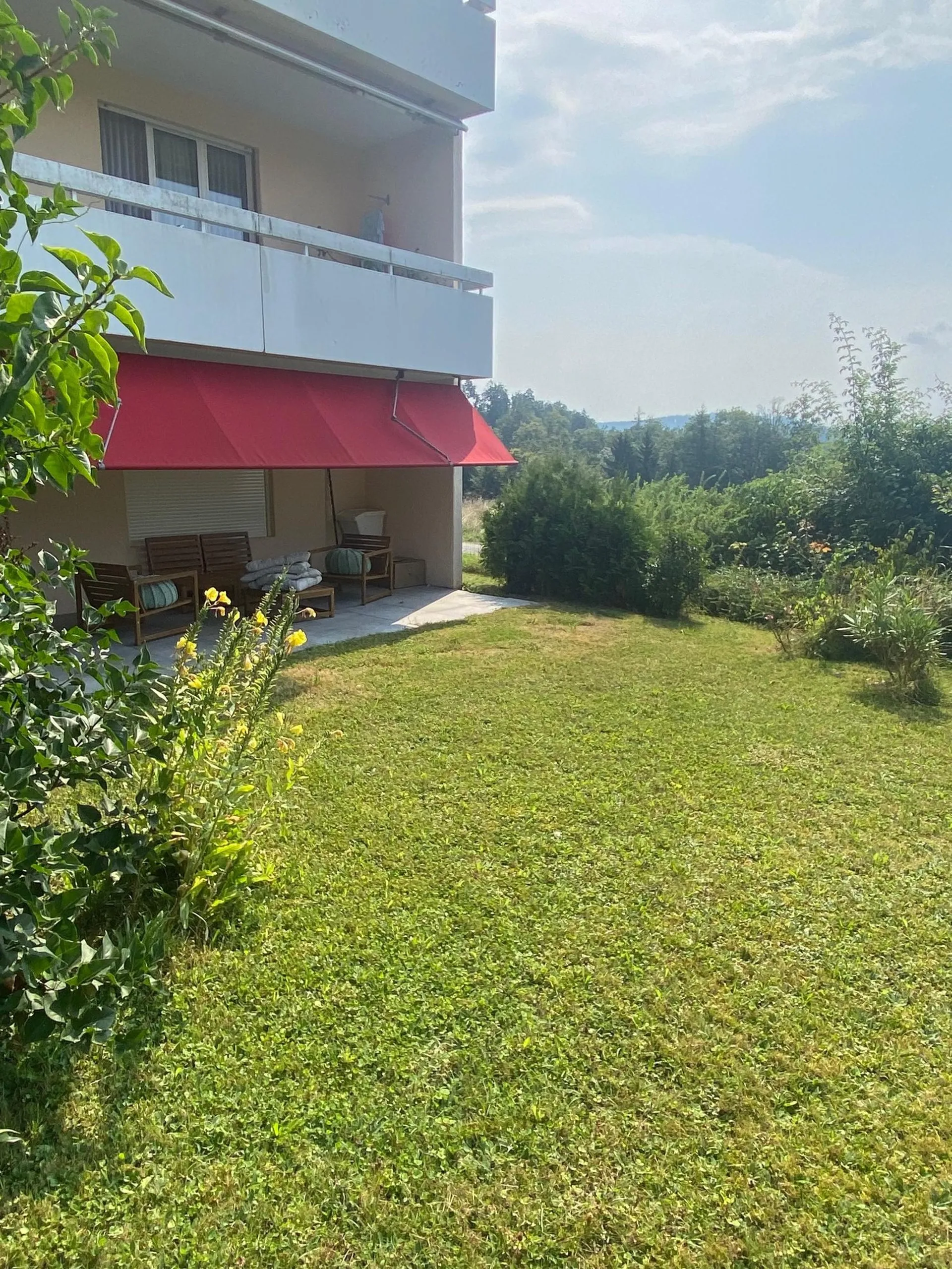 Image 12