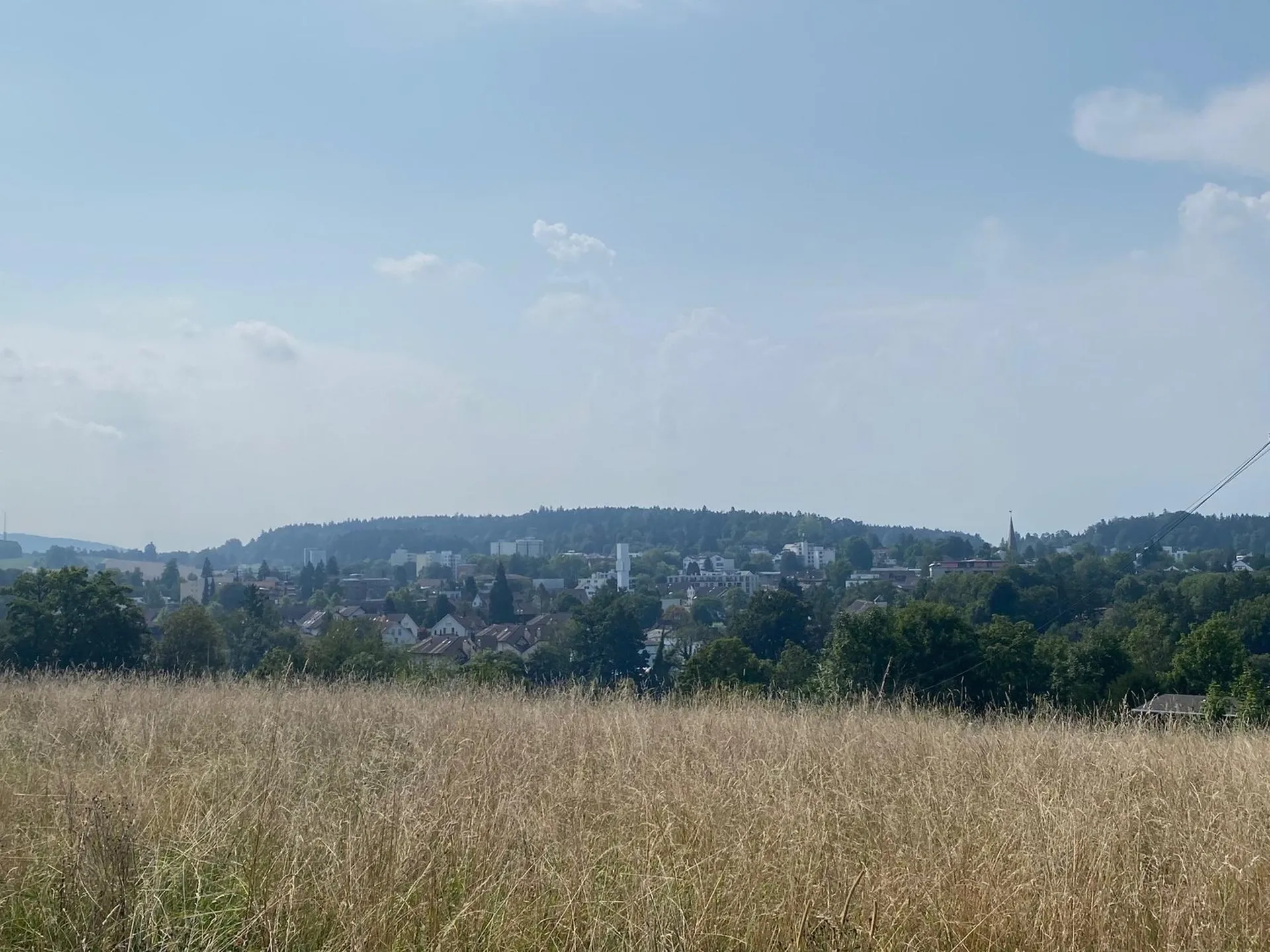 Image 23