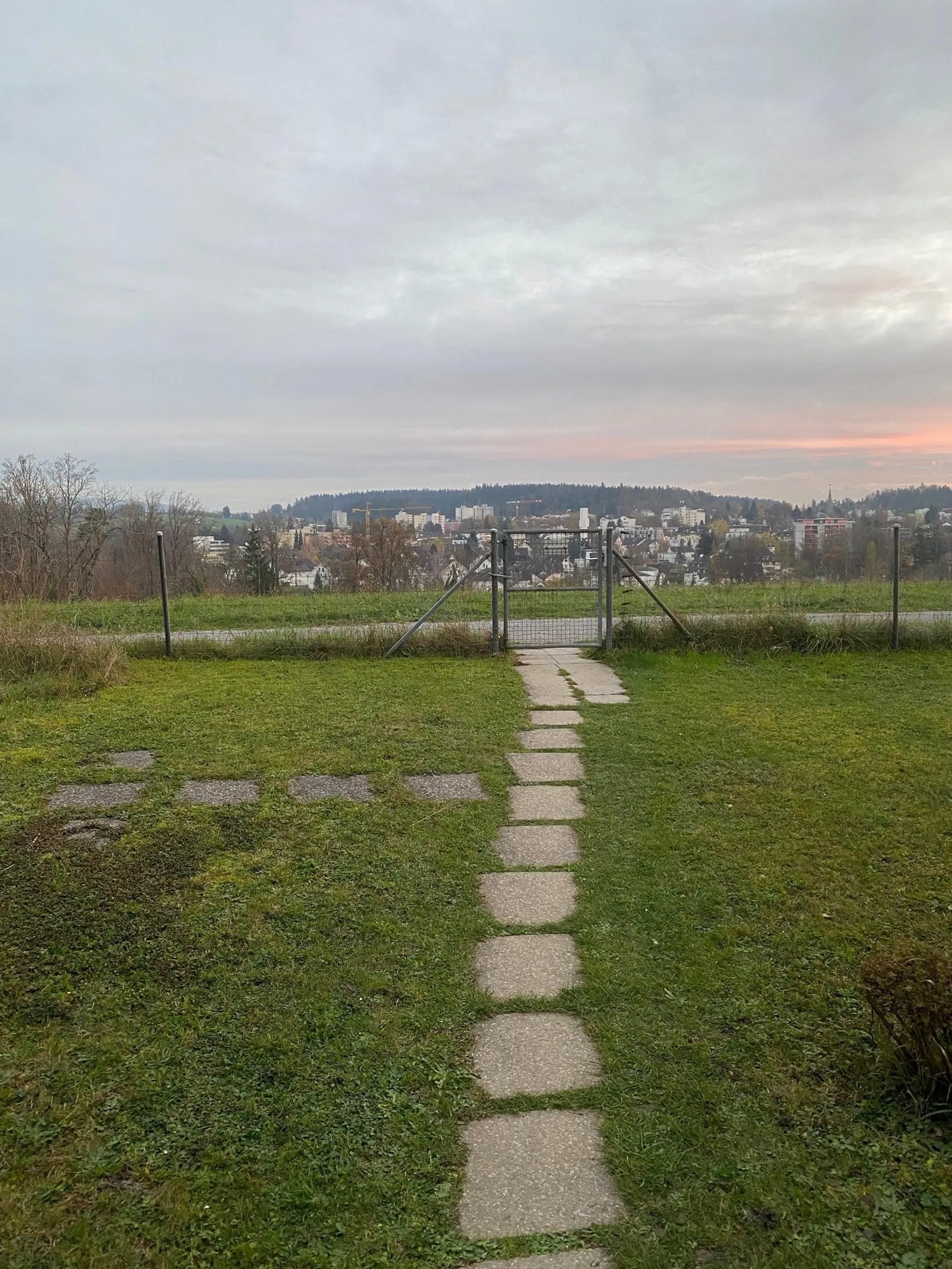 Image 19