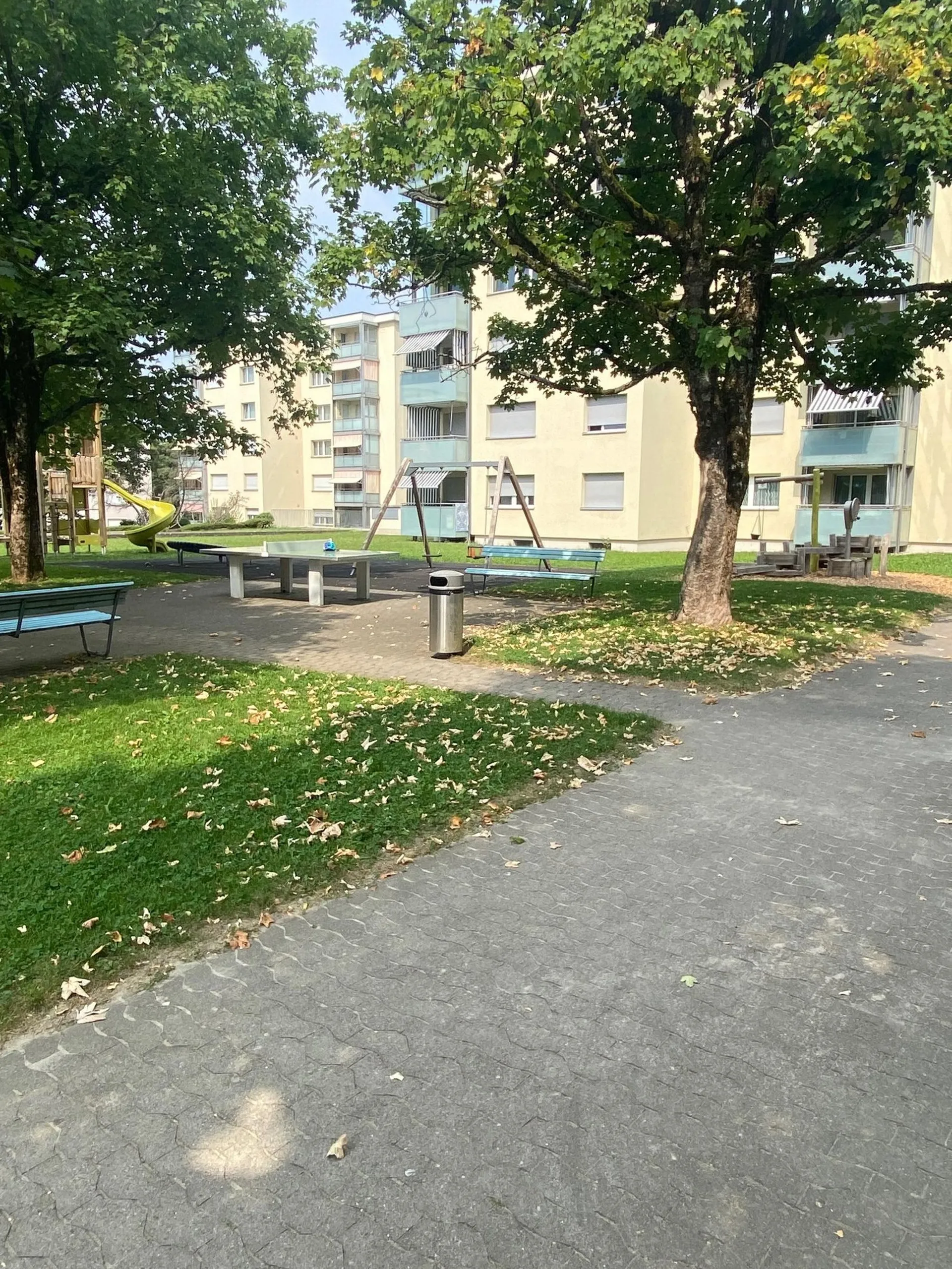 Image 15