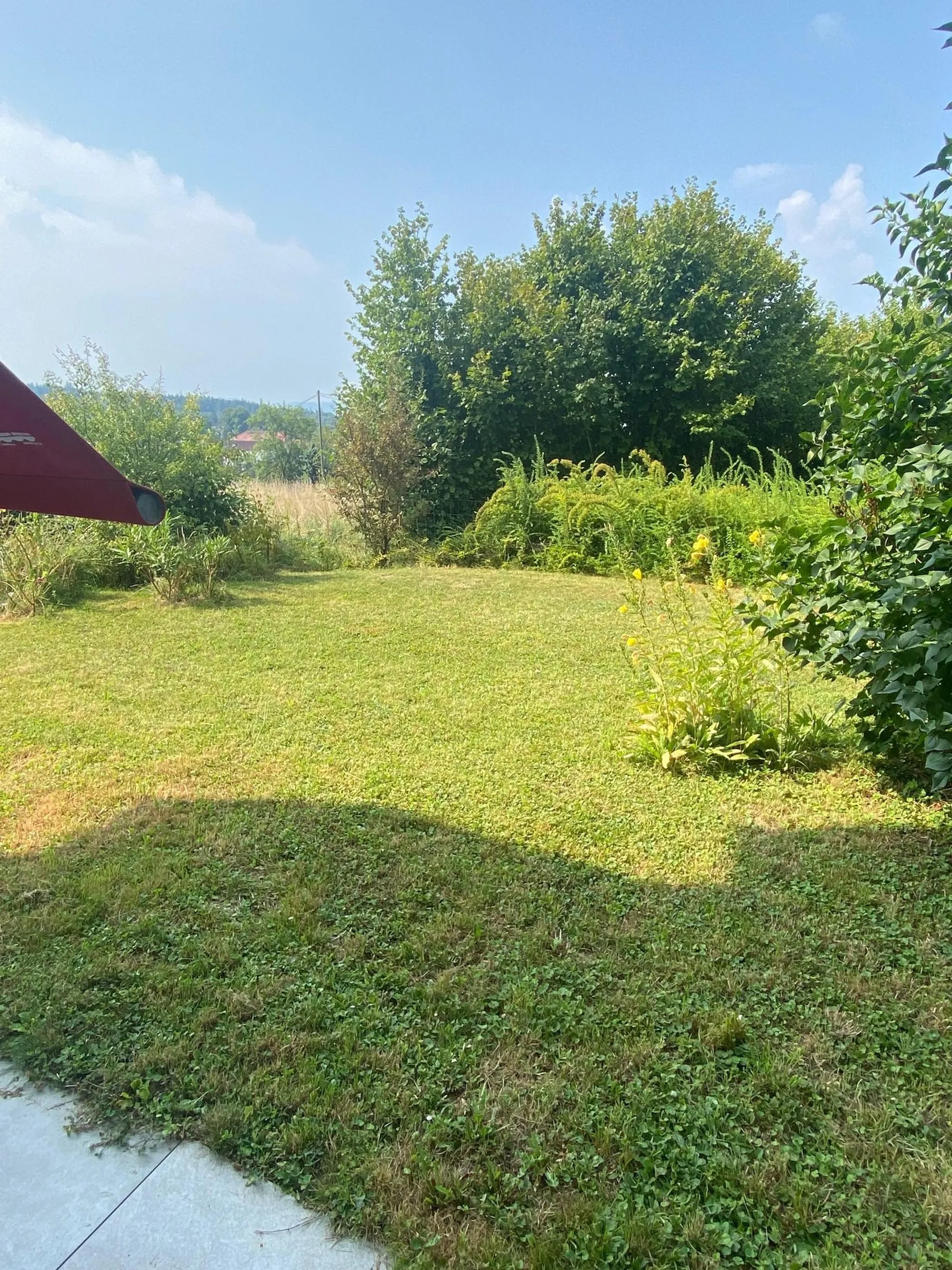 Image 13