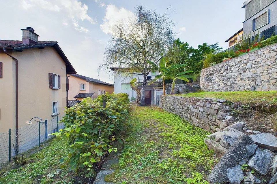 Image 12