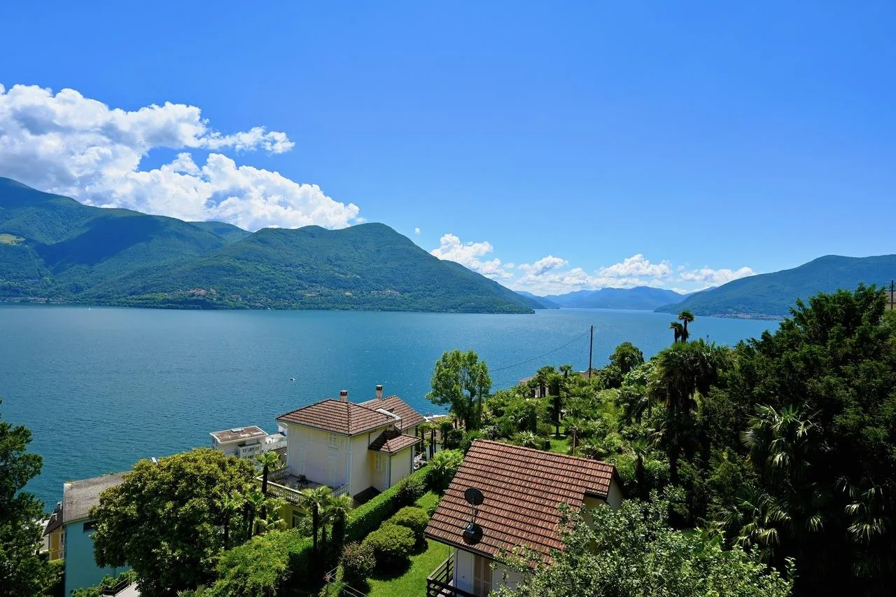 Immagine 6