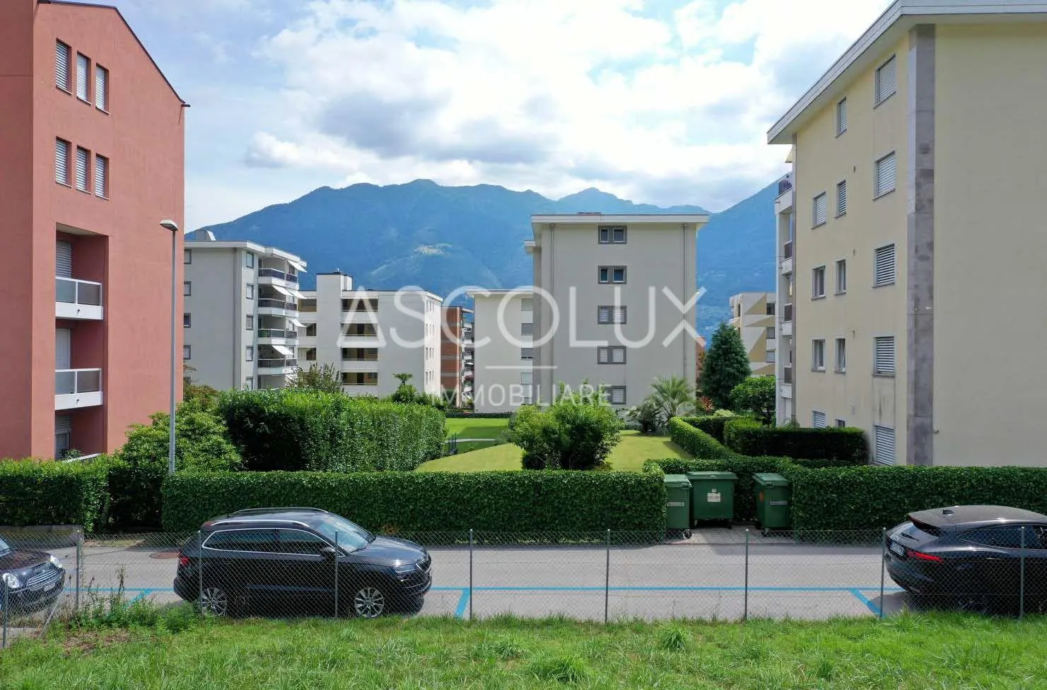 Image 8