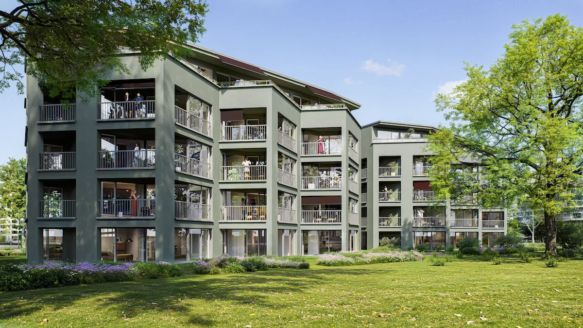 Image 5