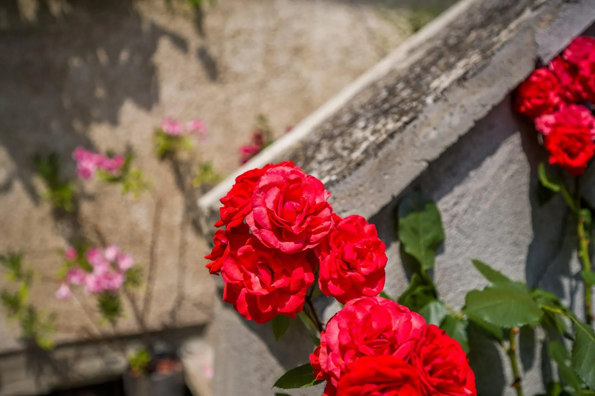 Image 13