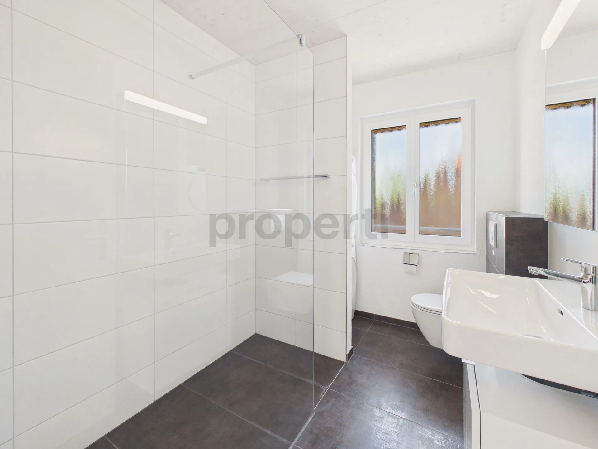 Bild 19