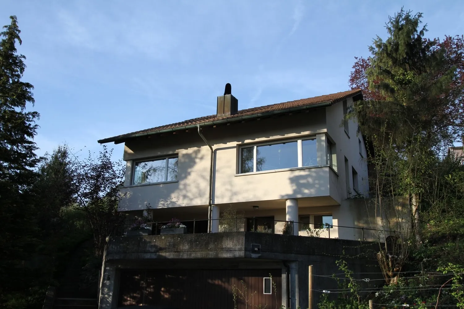Image 7