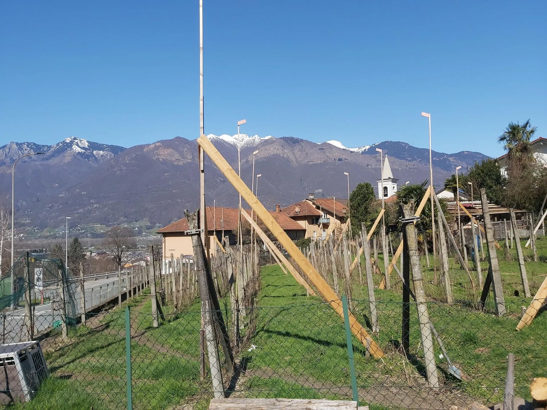 Immagine 12